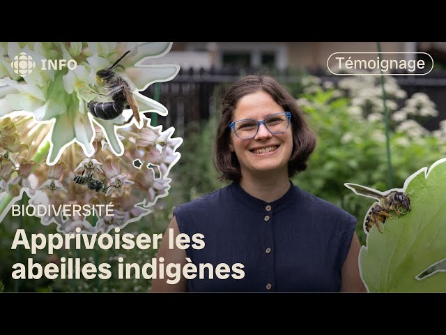 ⁣Geneviève Boudreau, l’écrivaine qui jardine pour les abeilles | La semaine verte