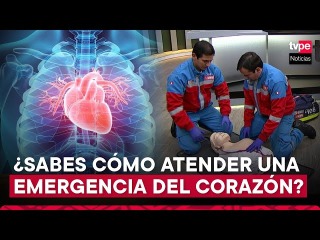 ⁣Día Mundial del Corazón: conozca cómo prevenir enfermedades cardiovasculares