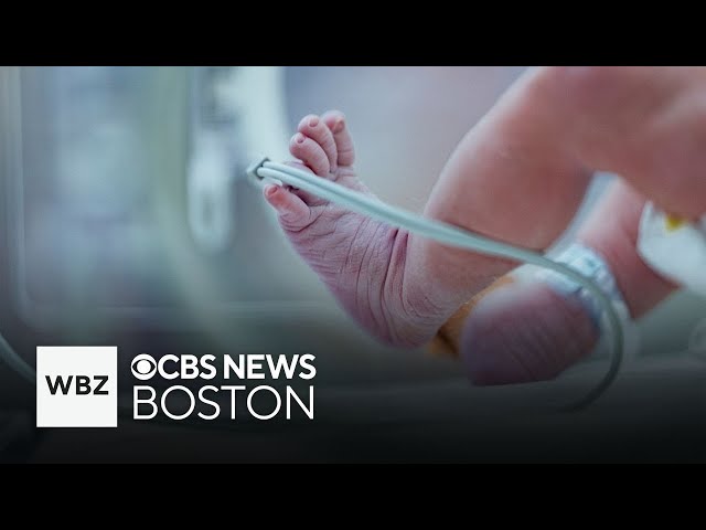 ⁣Massachusetts author honors NICU Awareness Month with new book