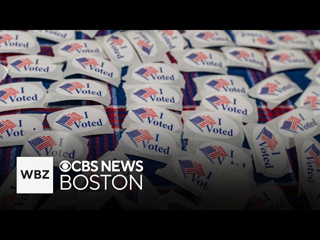 ⁣Massachusetts ballots questions to decide several key issues