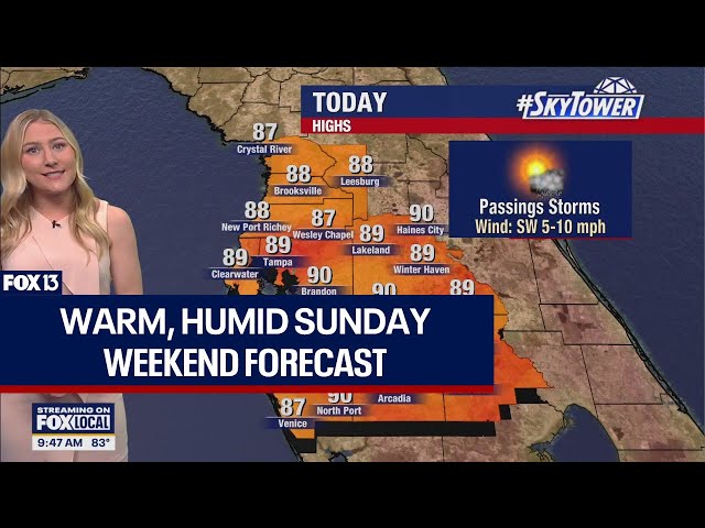 ⁣Tampa weather: Warm, humid Sunday