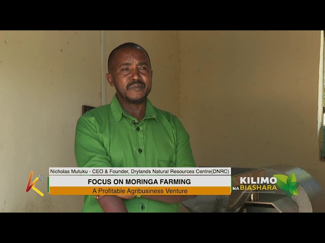 ⁣K24 TV LIVE | FOCUS ON MORINGA FARMING. #Kilimonabiashara