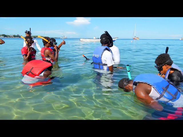 ⁣I Love Tobago – Science Snorkel Club