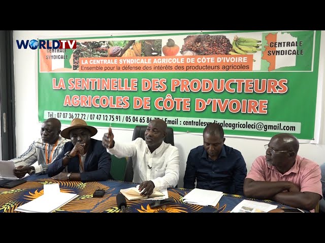 RDUE - La Centrale Syndicale Agricole de Cote d'Ivoire demande le report de l’exécution