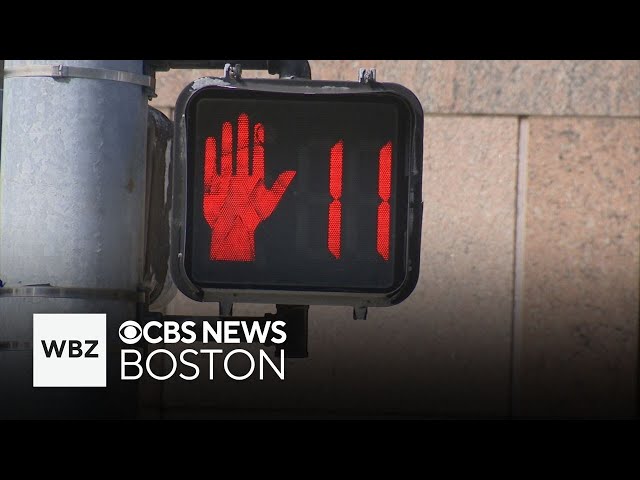 Pedestrian hit by tourist trolley in Boston