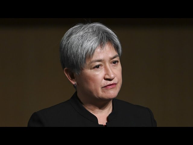 ⁣Penny Wong ‘wasting her breath’ over calls for Gaza ceasefire