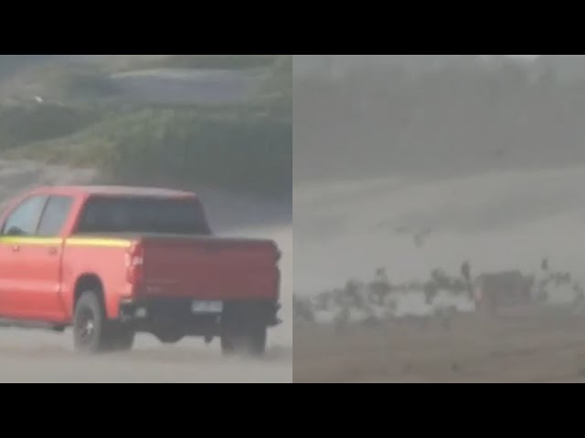 ⁣Conductor entró a playa en Ritoque y arrolló a aves y polluelos