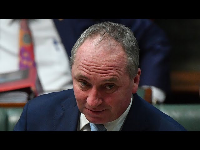 ⁣‘Another strange thing from Barnaby Joyce’: Labor minister slams former deputy PM