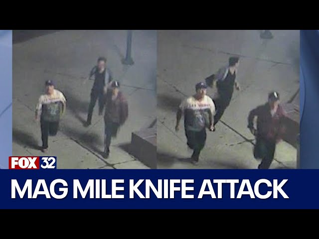 ⁣Chicago police seek 3 suspects in knife attack on Mag Mile