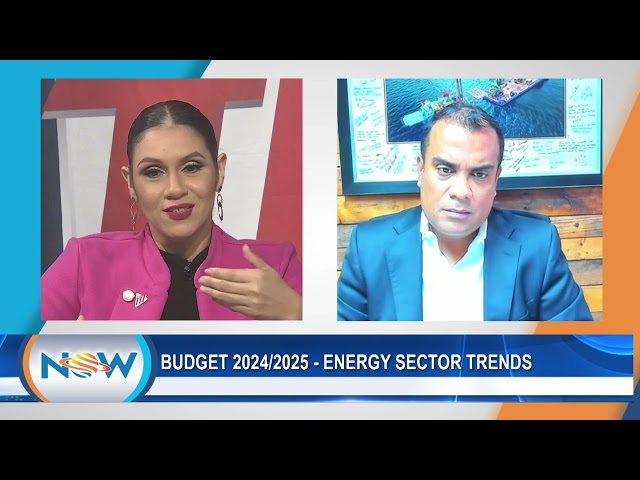 ⁣Budget 20242025 - Energy Sector Trends