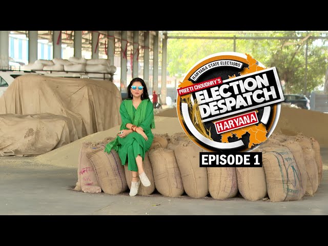 ⁣Preeti Choudhry's Election Despatch, Haryana Assembly 2024