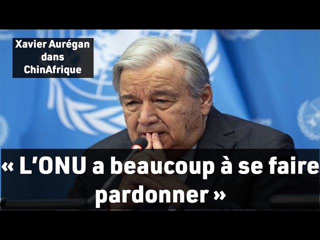 ⁣« L’énergie verte ne comblera pas le déficit énergétique de l’Afrique » selon  Xavier Aurégan