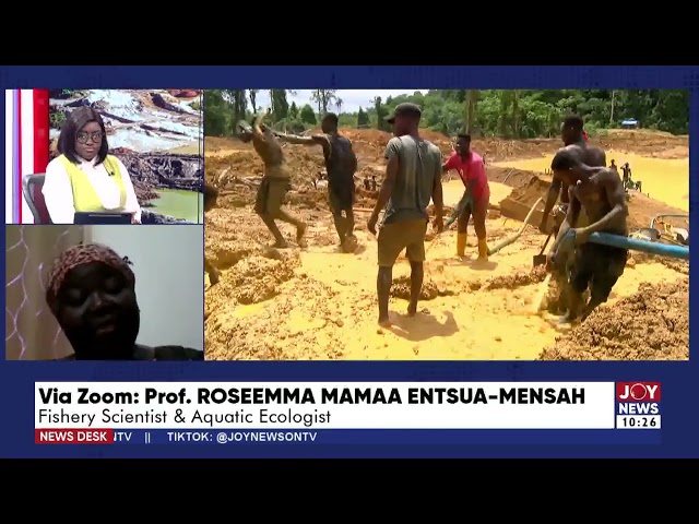 ⁣Many fish from our freshwater sources are gone because of galamsey - Prof. Roseemma Entsua-Mensah.