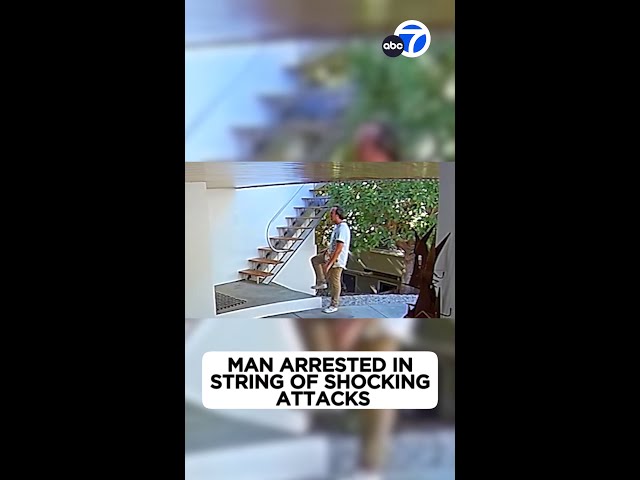 Man accused of punching magician at child's party in Pacific Palisades