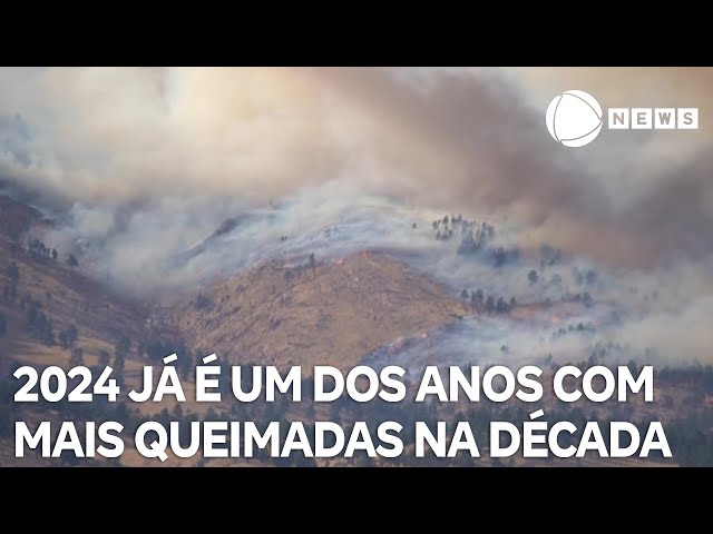 ⁣Conexão Verde: 2024 já é um dos anos com mais queimadas na última década