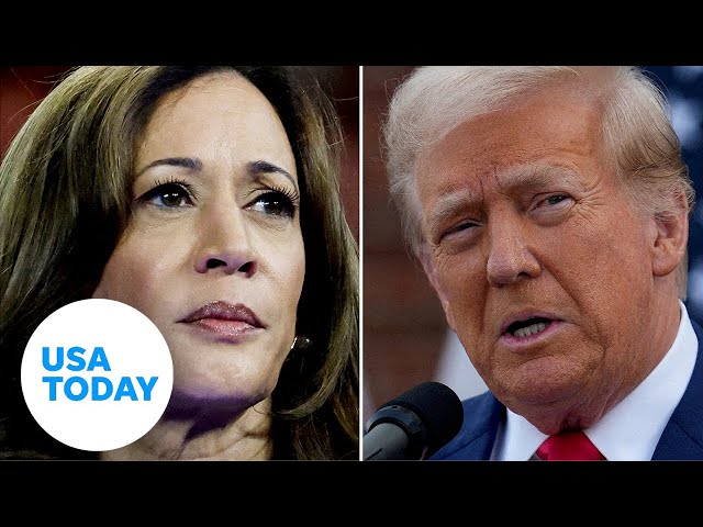 ⁣Personal attacks in the Trump, Harris presidential race ramp up | USA TODAY