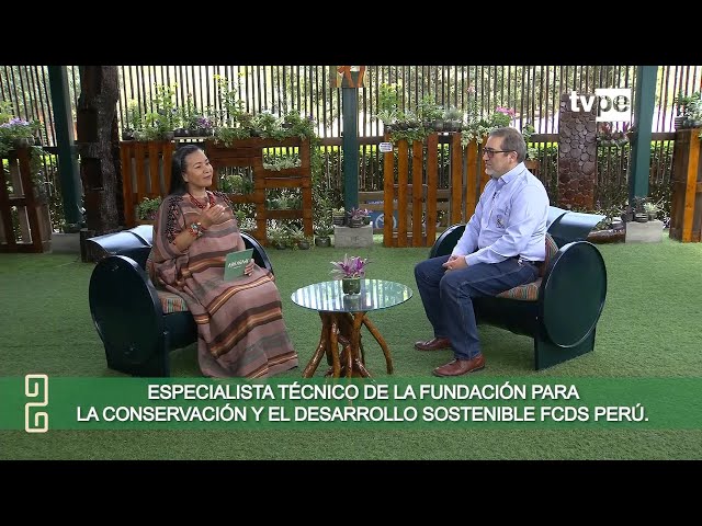 ⁣Ashi Añane (28/09/2024) | TVPerú