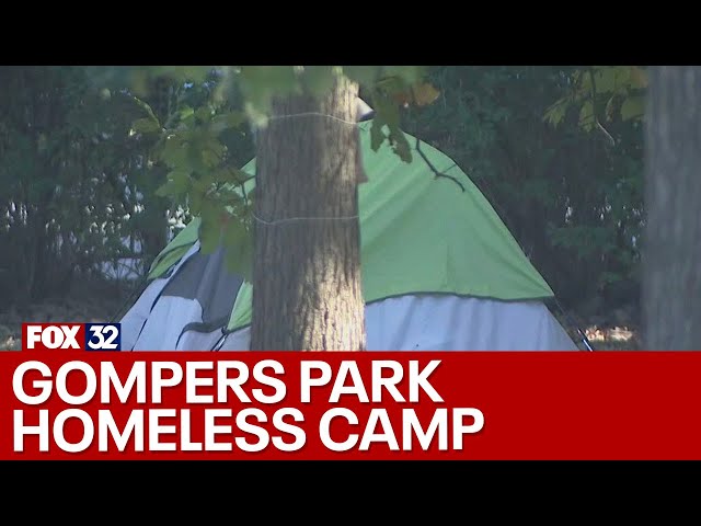 Chicago neighbors urge city to clear out Gompers Park homeless camp