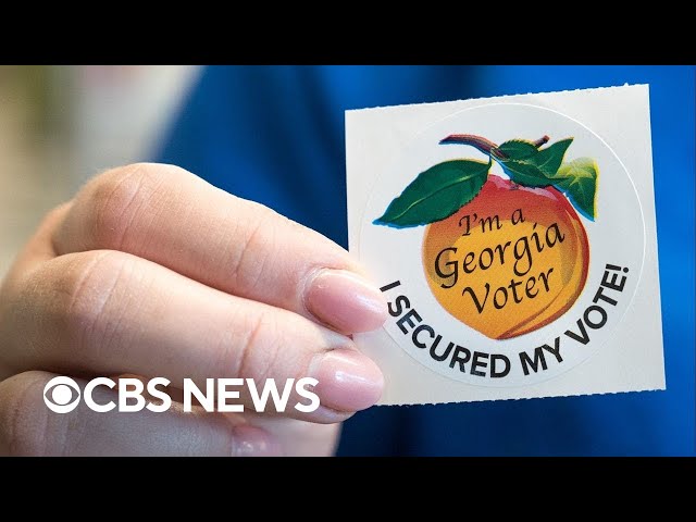 ⁣Democrats sue to block Georgia's new ballot hand count rule