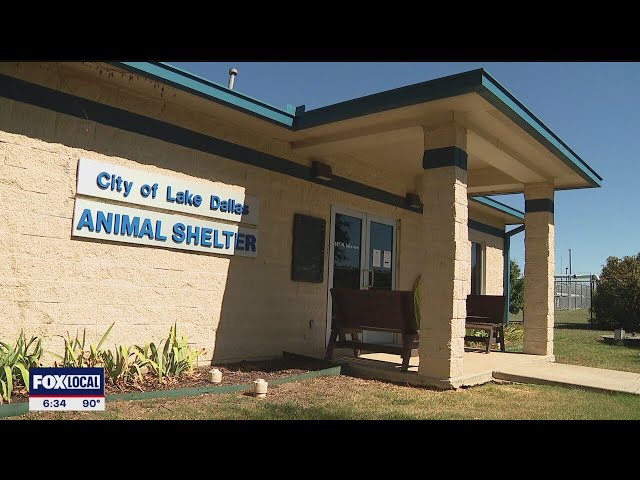 Lake Dallas permanently closes its animal shelter