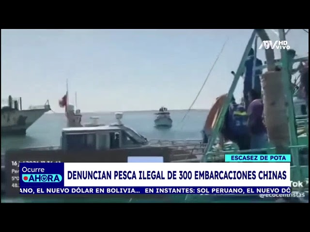 ⁣Denuncian escasez de pota por pesca ilegal de 300 embarcaciones chinas en mar peruano