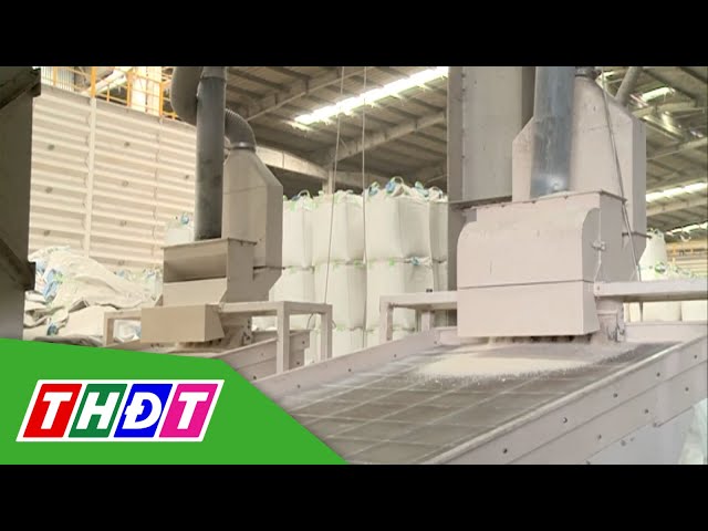 ⁣Việt Nam có thể phải điều chỉnh giá gạo | THDT