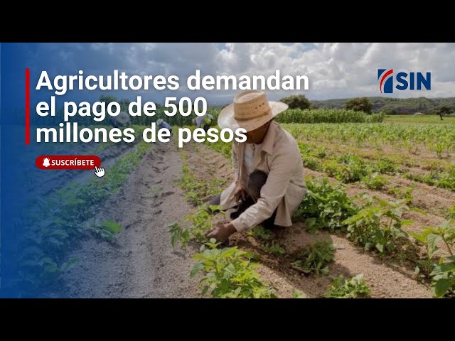 ⁣#EmisiónEstelarSIN: Huracán, agricultores y puntos