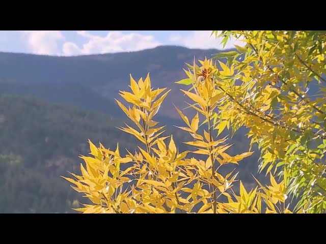 ⁣Crowded mountain passes frustrate fall color viewers