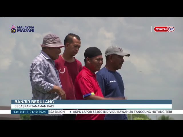 ⁣1 OKT 2024 - BTH- BANJIR BERULANG JEJASKAN TANAMAN PADI