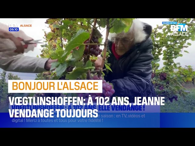 ⁣Vœgtlinshoffen: à 102 ans, Jeanne continue de faire les vendanges en famille