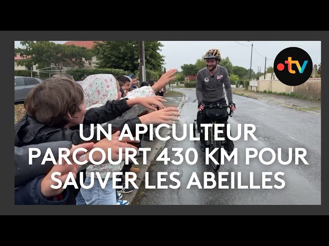 ⁣Un apiculteur parcourt 430 km pour sauver les abeilles