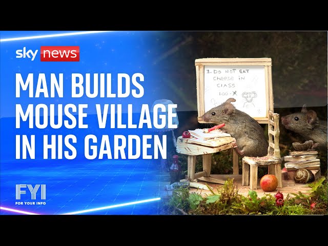 ⁣FYI: Man builds mouse village in his garden