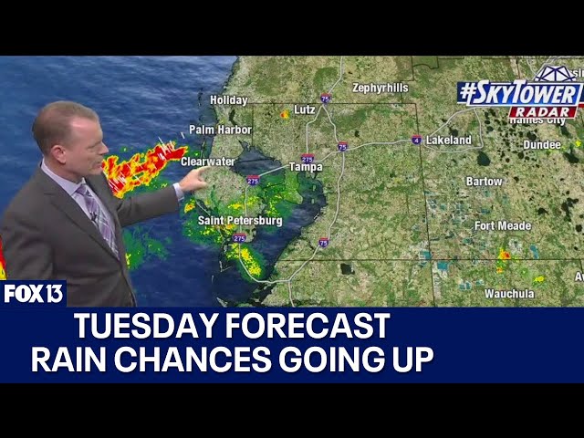 Tampa weather | Rain chances slowly going up