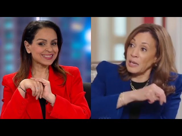 ⁣‘Lefties losing it': Sky News host reacts to Kamala Harris’ ‘word salad’