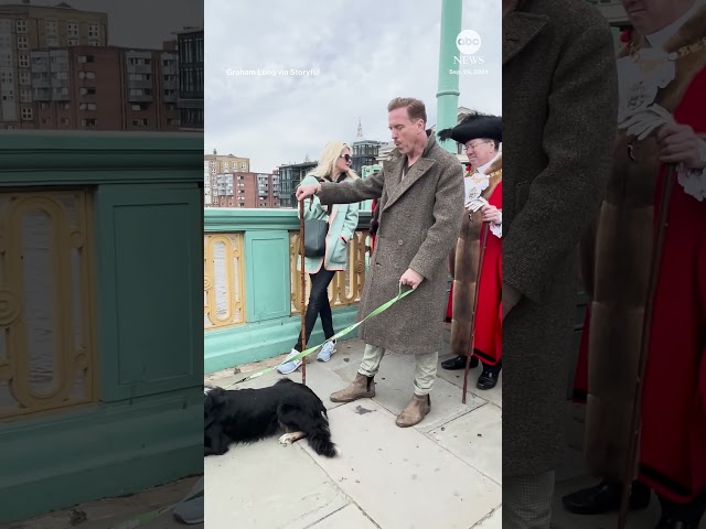 ⁣Damian Lewis walks sheep across the Thames in historic ceremony - ABC News