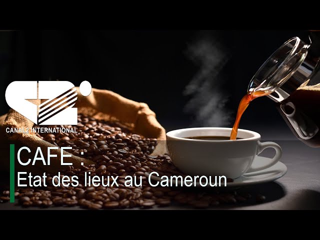 ⁣UN JOUR UN EVENEMENT - CAFE : Etat des lieux au Cameroun