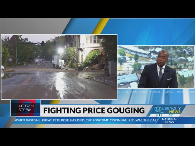 ⁣Legal Analysis: fighting price gauging