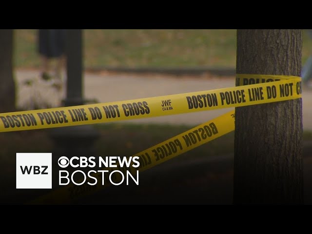 ⁣Stabbing on Boston Common renews safety concerns at popular tourist spot