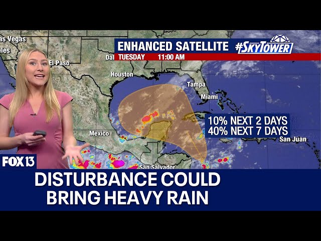 ⁣Tropical disturbance could develop and move into Gulf