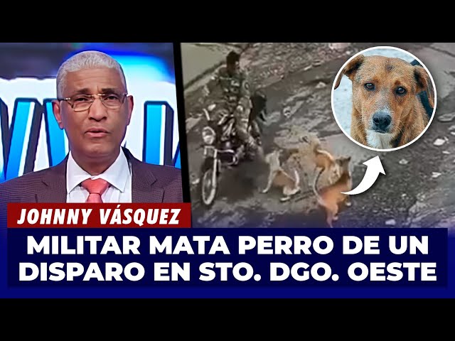 ⁣Johnny Vásquez | Militar mata perro de un disparo en Santo Domingo Oeste | El Garrote