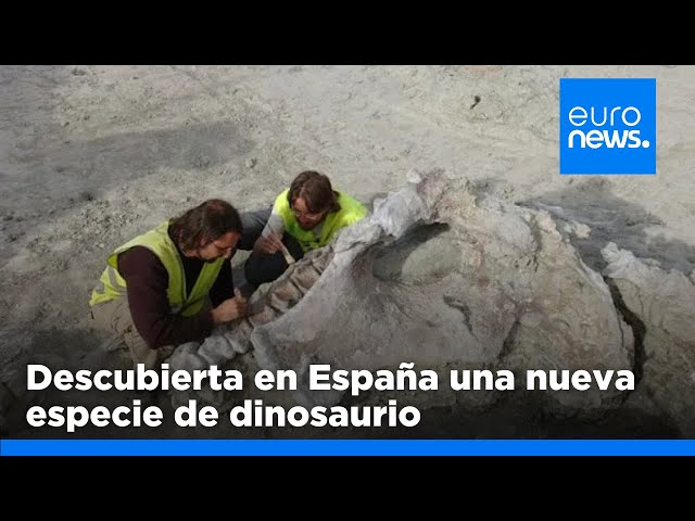 ⁣Descubierta en España una nueva especie de dinosaurio que vivió en la península ibérica