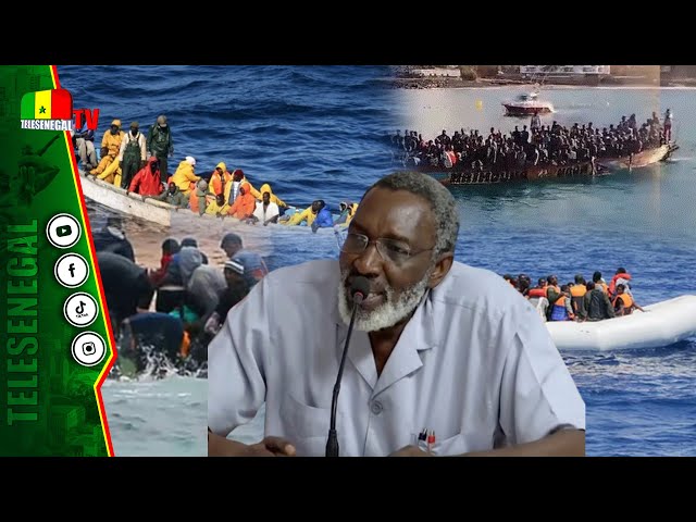 ⁣La surprenante posture de Dr Babacar Niang sur l'émigration" warouniou terer xaleyi dem da