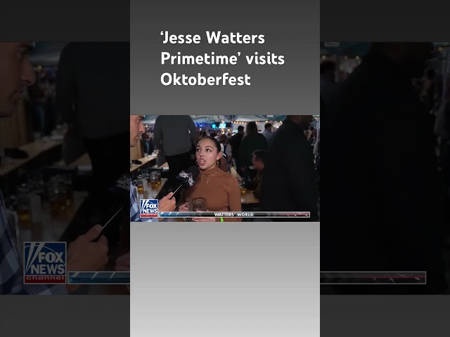 ⁣'Jesse Watters Primetime' asks voters: What issue is most important to you?