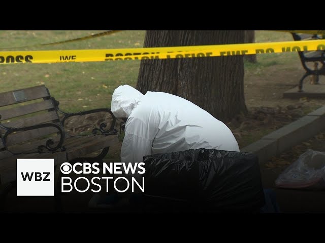 ⁣Violence on Boston Common is rising, say residents