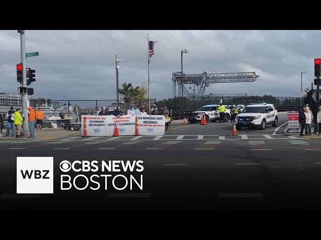 ⁣Dock worker strike shuts down shipping port in Boston