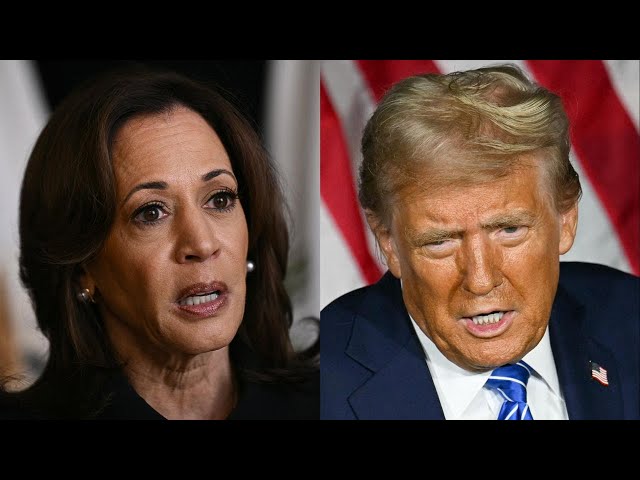 ⁣Harris and Trump campaigns vie for young voters