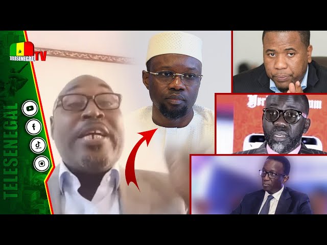 ⁣Dette du Sénégal, Arrestations à Tout Va : Adama Fall Tire à Boulets Rouges sur Ousmane Sonko !