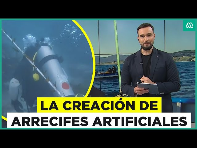 ⁣Innovaciones en la protección de playas: Arrecifes artificiales y bosques de algas en Chile