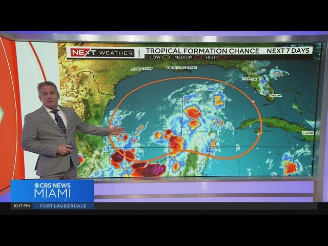 South Florida weather for Tuesday 10/1/24 11PM