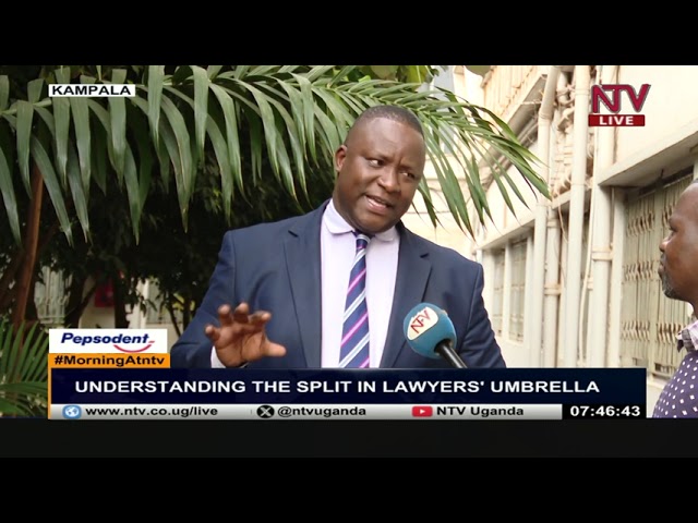 ⁣Morning At NTV: Understanding the slips in lawyers’ umbrella